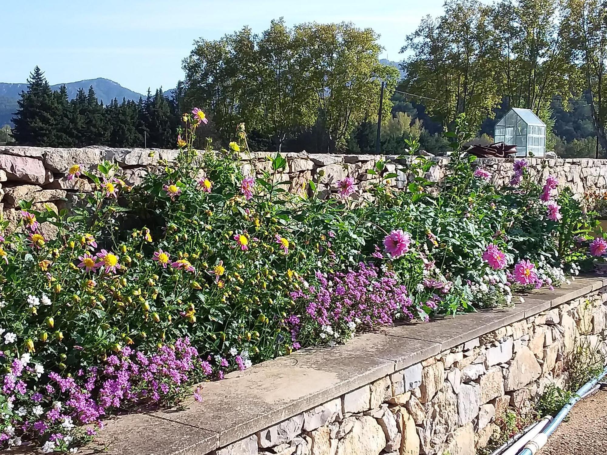 Clos St Jean Baptiste