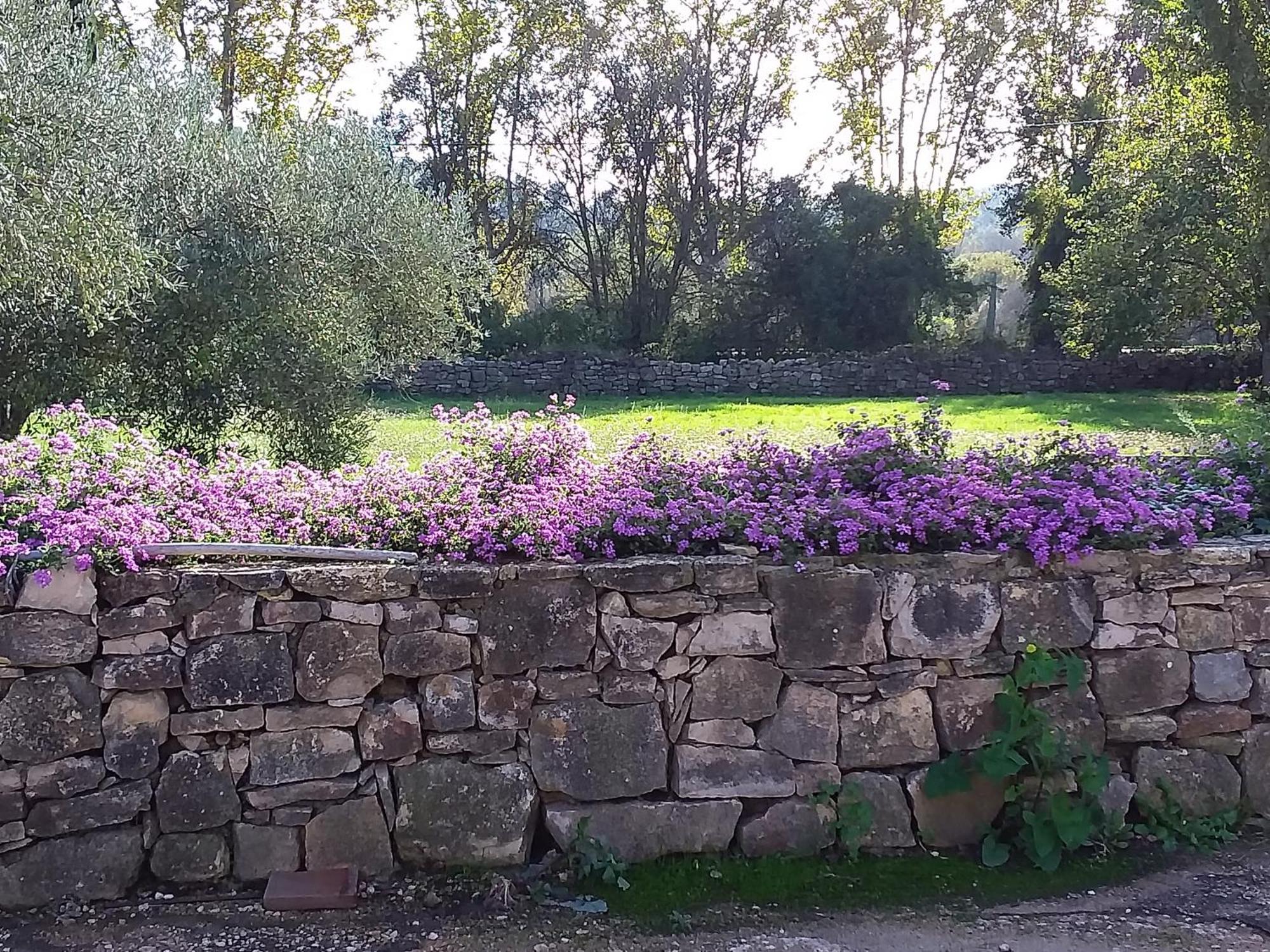 Clos St Jean Baptiste Homestay