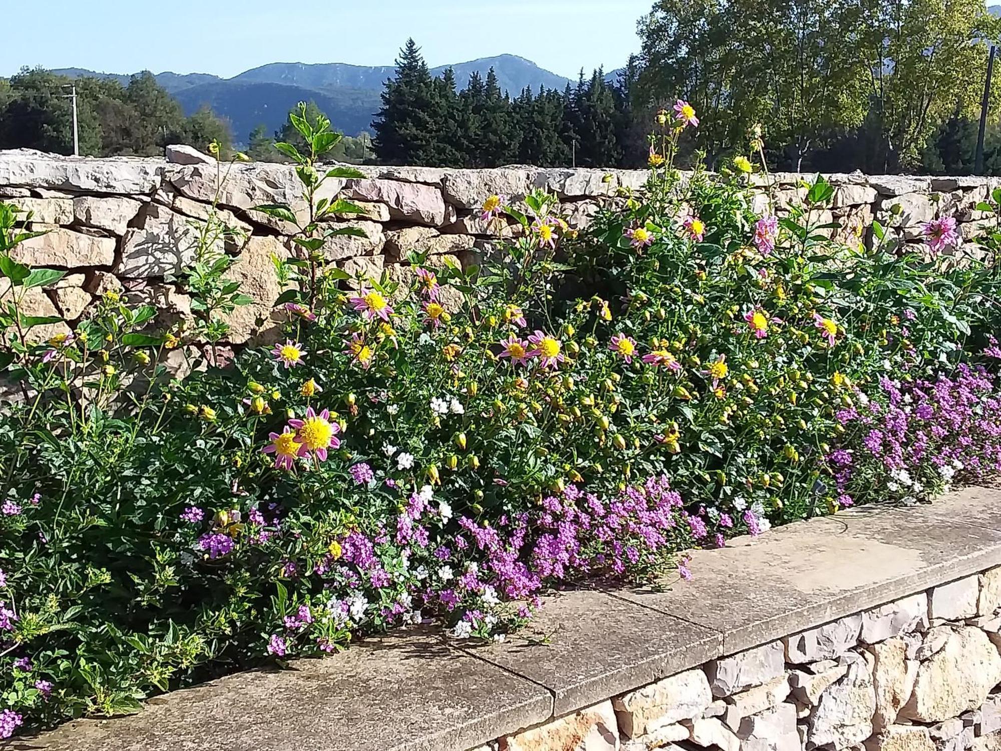 Clos St Jean Baptiste Séjour chez l'habitant *